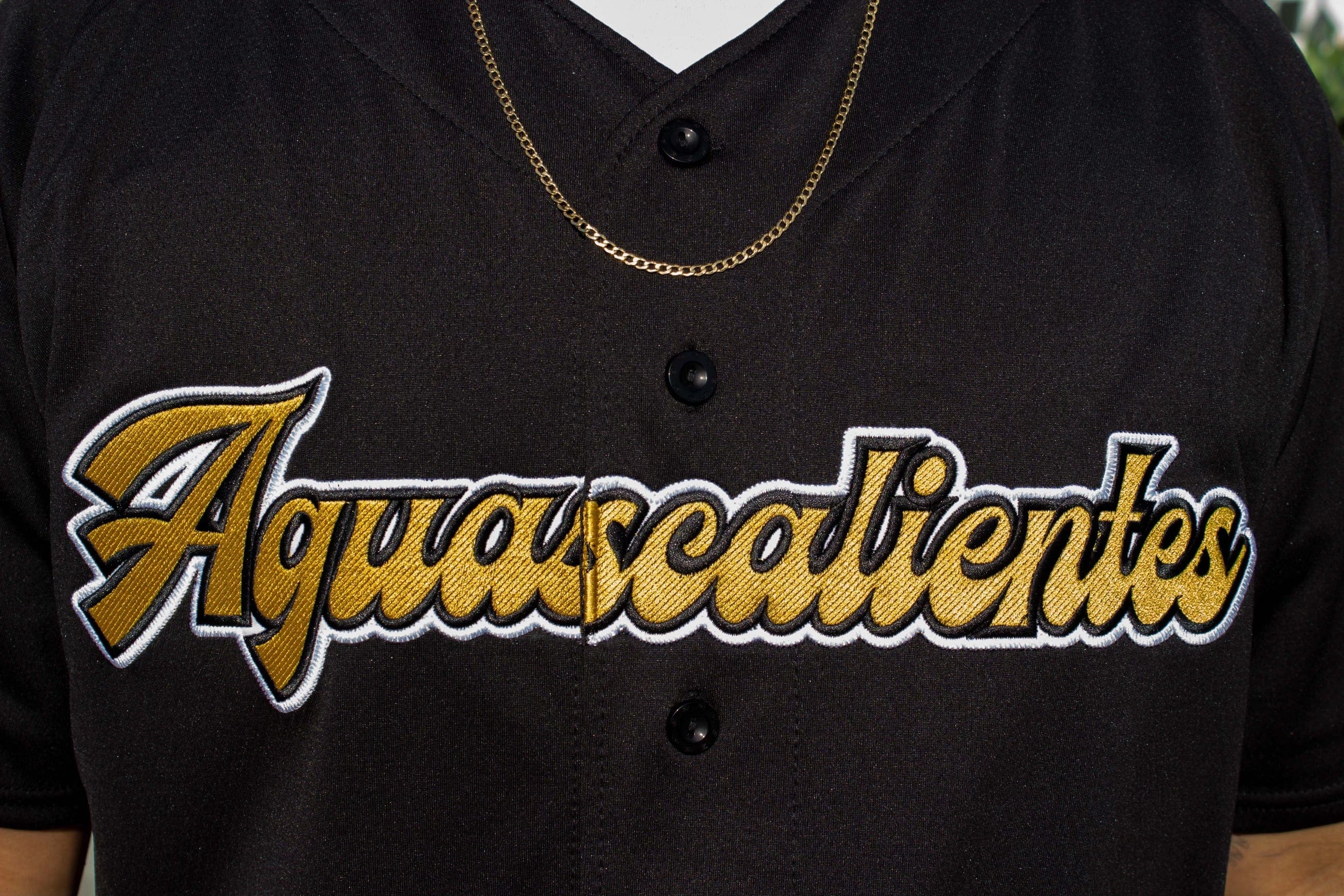 2024 AGUASCALIENTES Jersey - Image 7