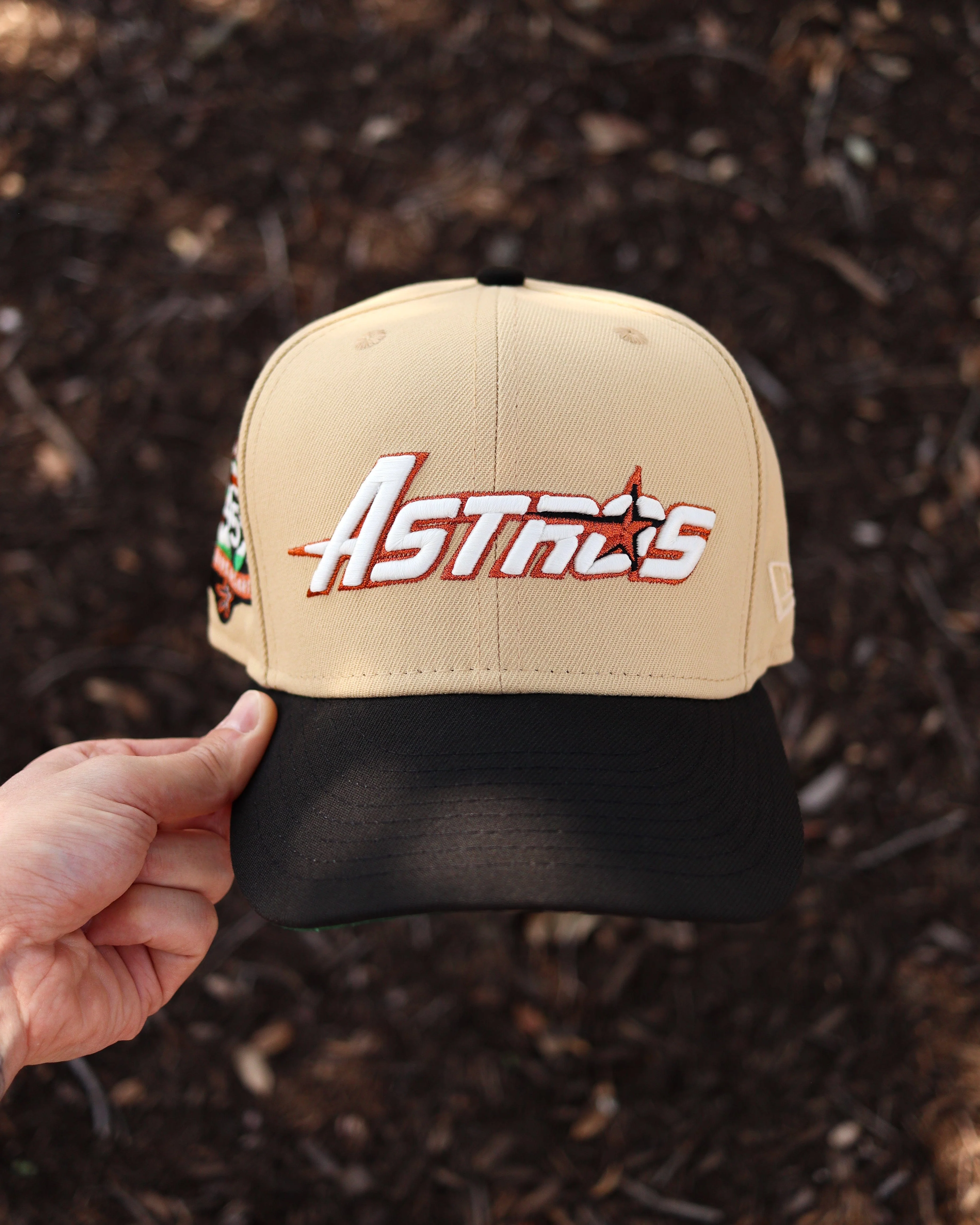 Astros Rushmore - Image 2