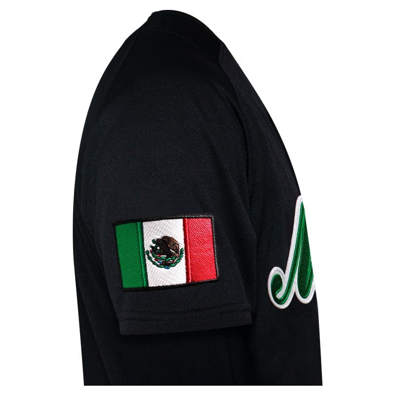 (BLACK) AGUACATEROS DE MICHOACÁN Jersey - Image 4