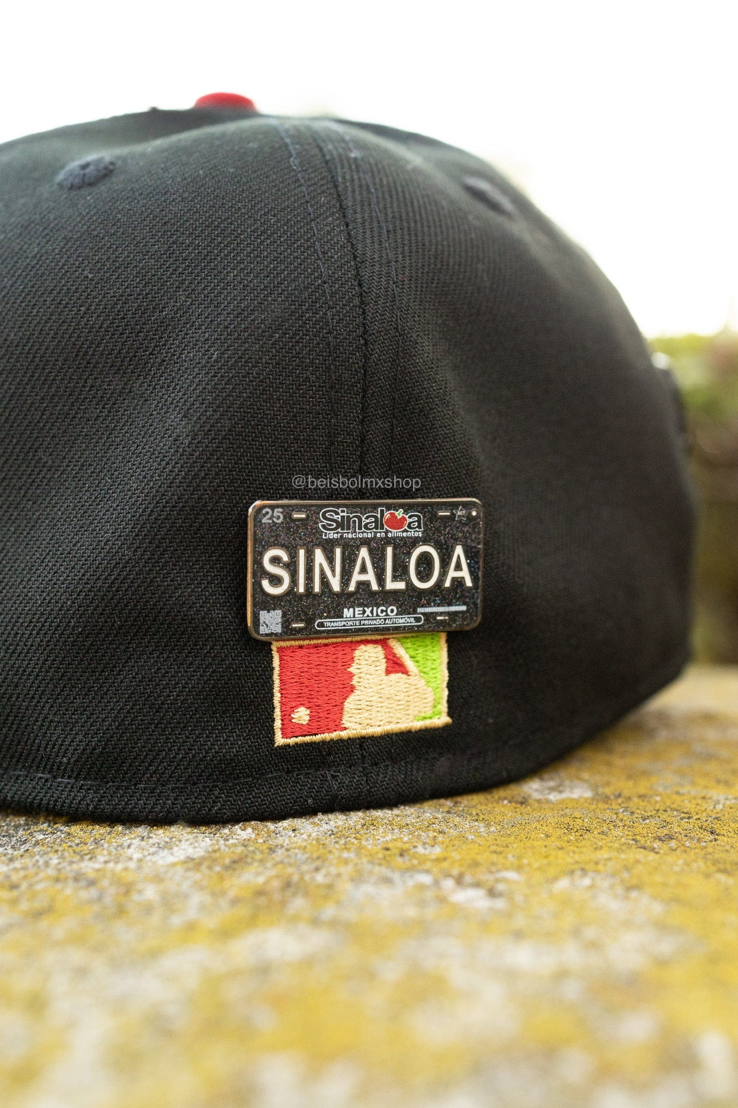 Black Mexico License Plate BMX Pins - Image 3