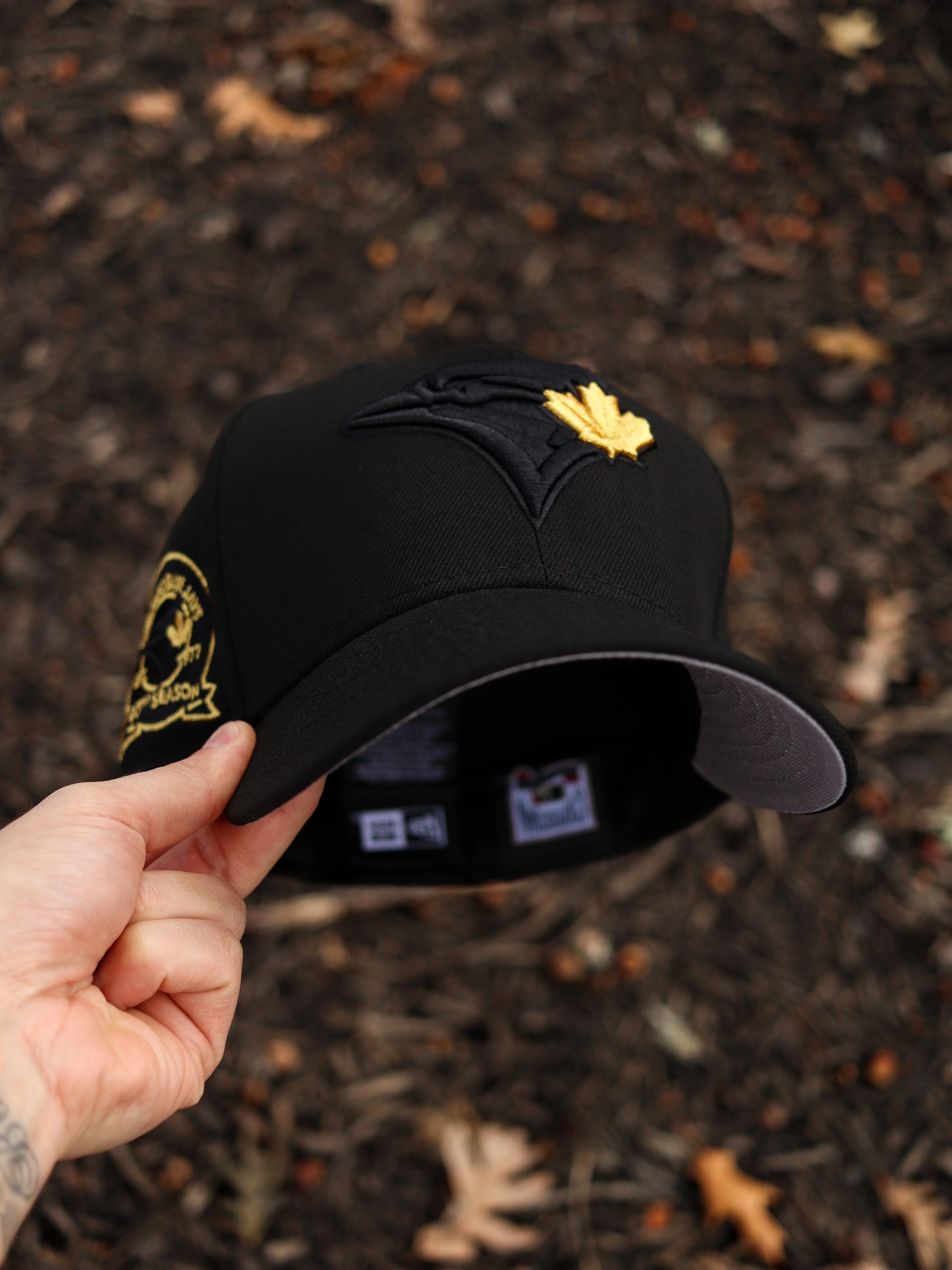 Blue jays BLK/Gold
