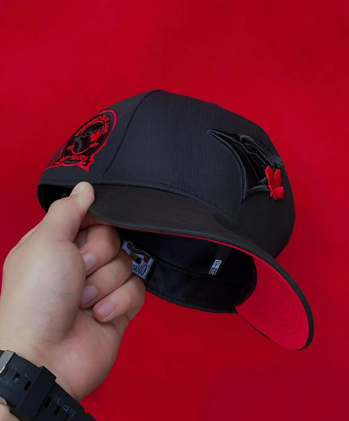 Blue jays (BLK/RED)