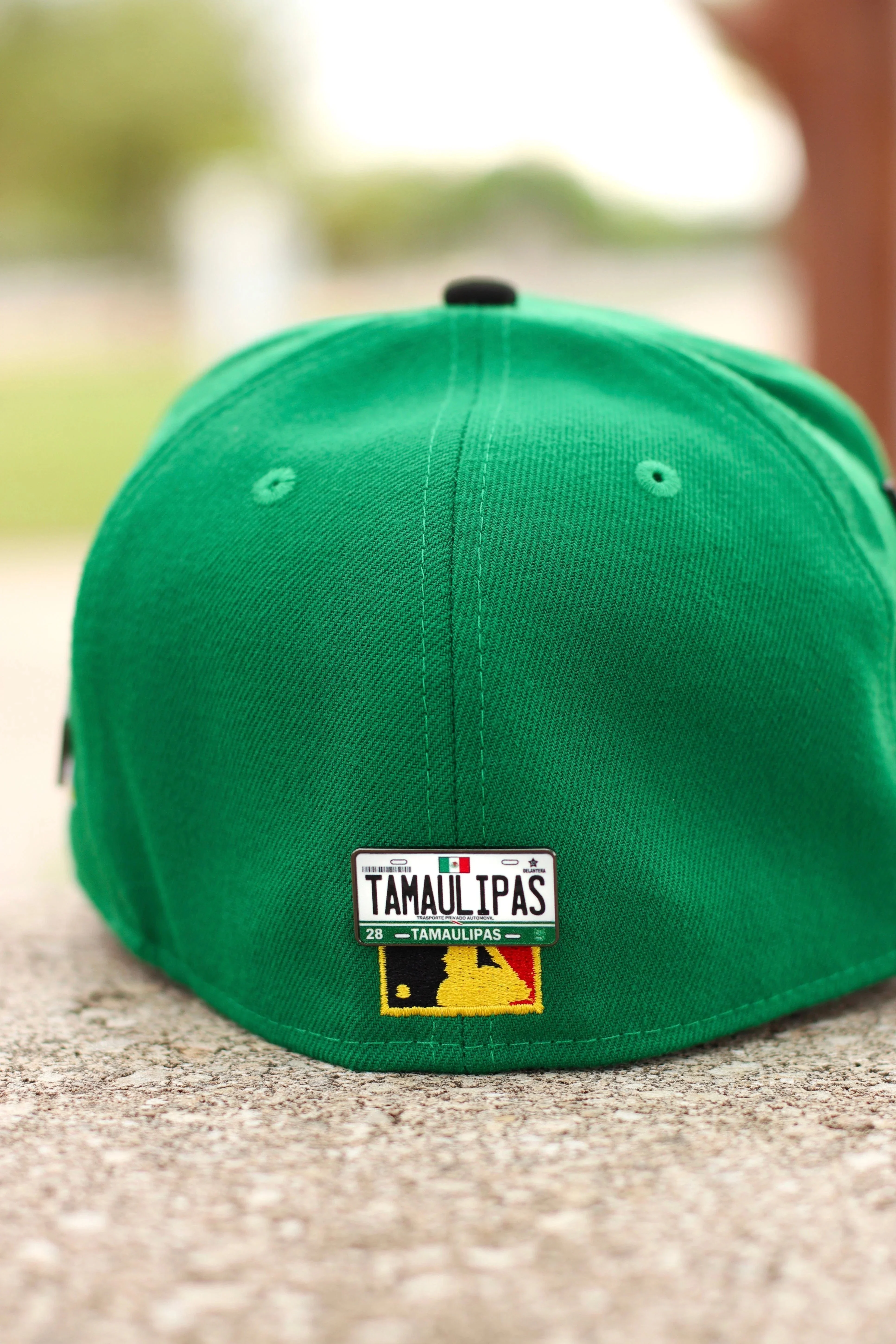 Colored Mexico License Plate Pins - Image 9