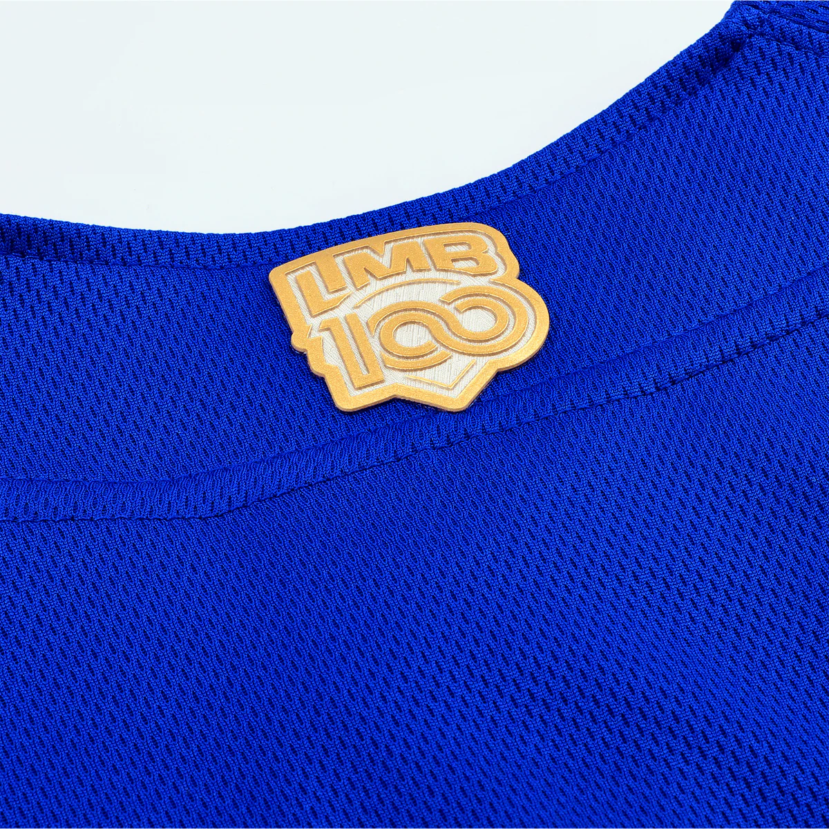 (majestic blue) bravos de Leon - Image 6